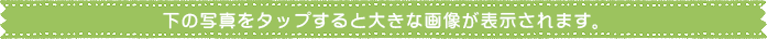 下の写真をタップで拡大