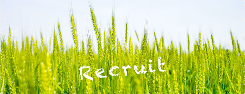 職員採用情報 Recruit